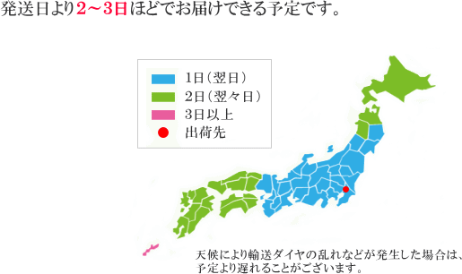 発送日より2～3日ほどでお届けできる予定です。