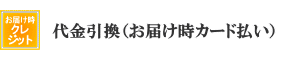 代金引換（お届け時カード払い）